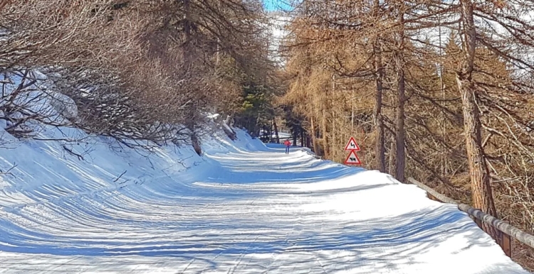 Tenta di raggiungere la Francia in furgone sulle piste da sci di La ...